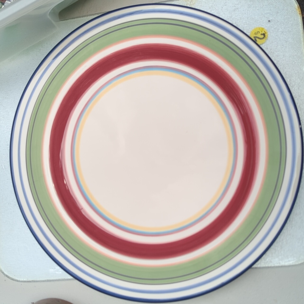 Pottery Barn Dinner Plates